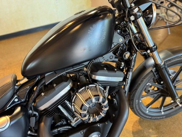 2019 Harley Davidson Iron 883 XL883N - Photo 3