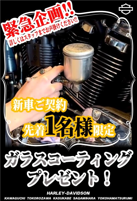 緊急企画！！！！