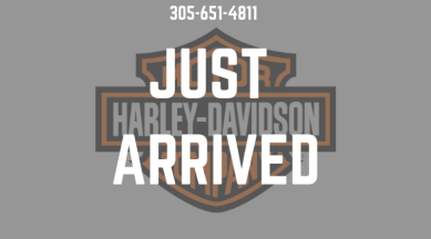 2023 Harley-Davidson Fat Boy 114 Cruiser