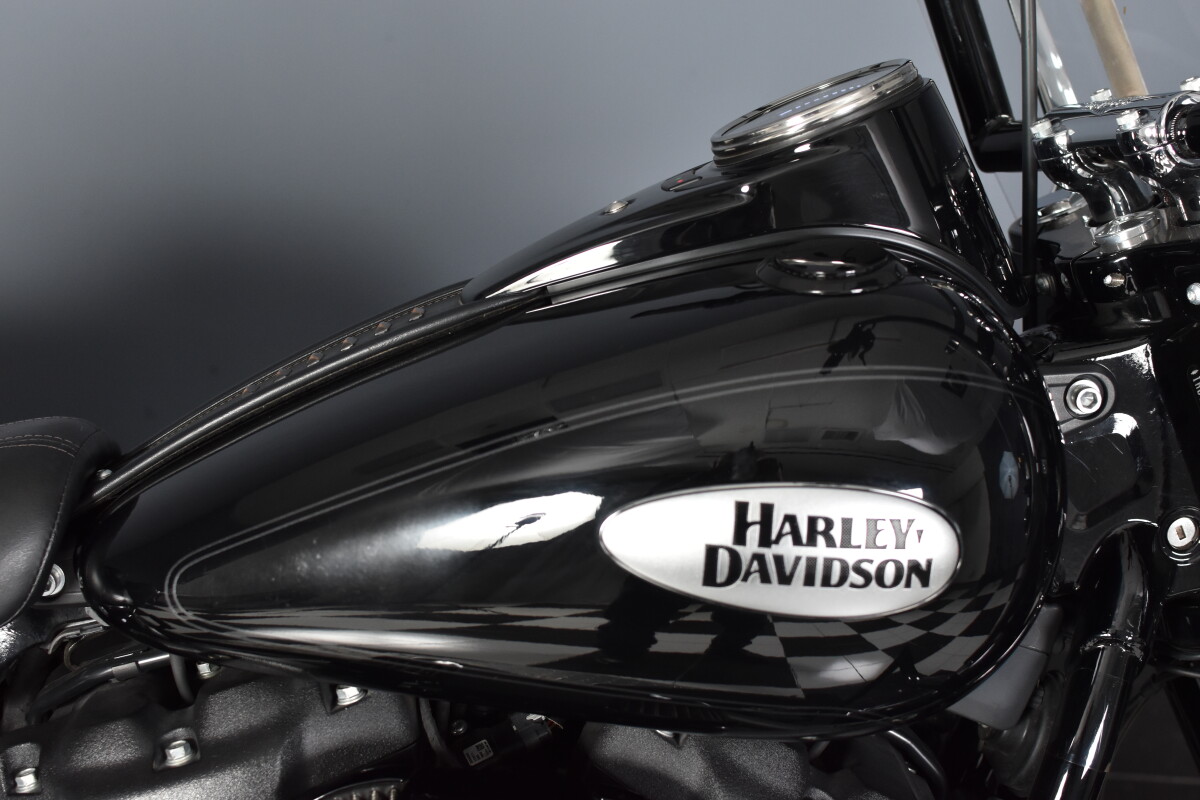 2022 Harley-Davidson® Heritage Classic 114 FLHCS, photo 10