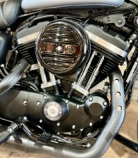 2020 XL883N - Iron 883 thumb 0