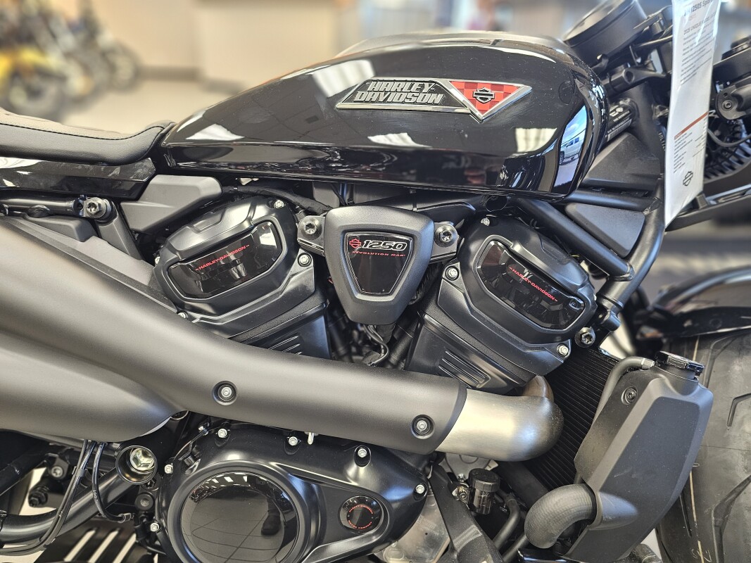 RH1250S 2025 Sportster S - Photo 9