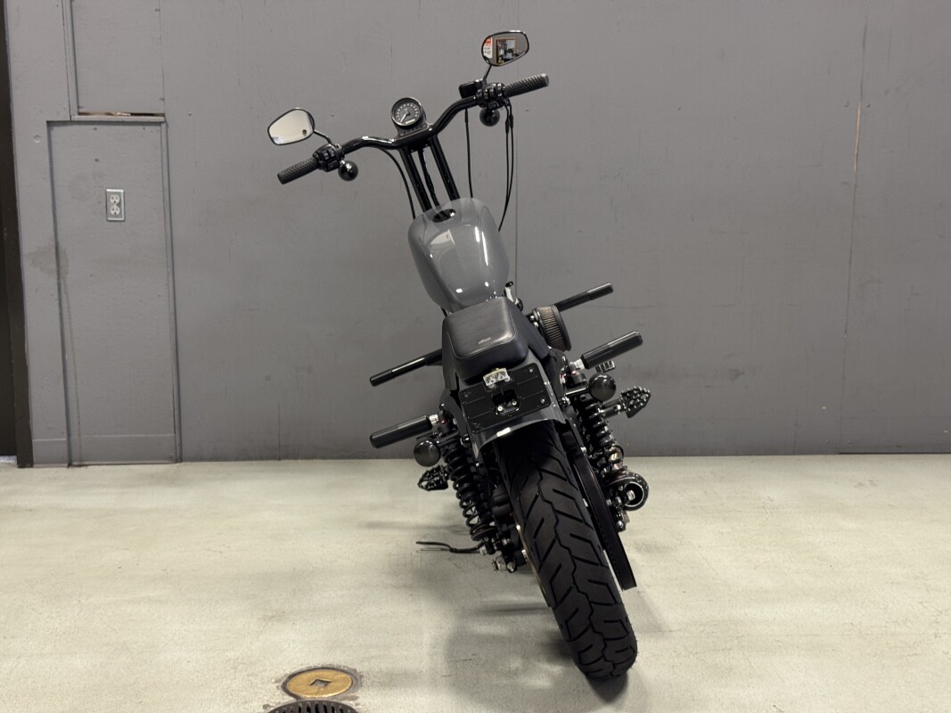 XL 883N 2022 Iron 883 - Photo 10