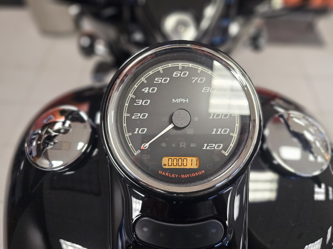 FLRT 2024 Freewheeler - Photo 10