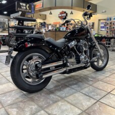 2024 FXST Softail® Standard  thumb 3