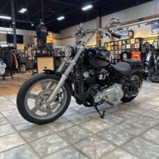 2024 FXST Softail® Standard  thumb 0