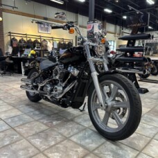 2024 FXST Softail® Standard  thumb 1