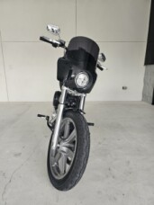 2022 Harley-Davidson<sup>®</sup> Softail Standard® thumb 0