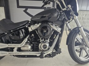 2022 Harley-Davidson<sup>®</sup> Softail Standard® thumb 3