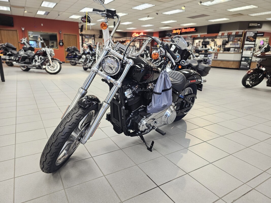 FXST 2024 Softail Standard - Photo 4