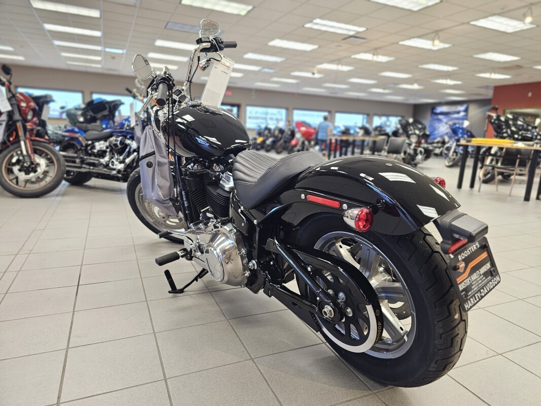 FXST 2024 Softail Standard - Photo 6