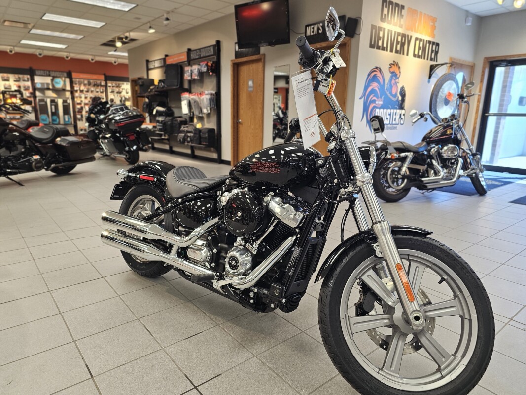 FXST 2024 Softail Standard - Photo 2