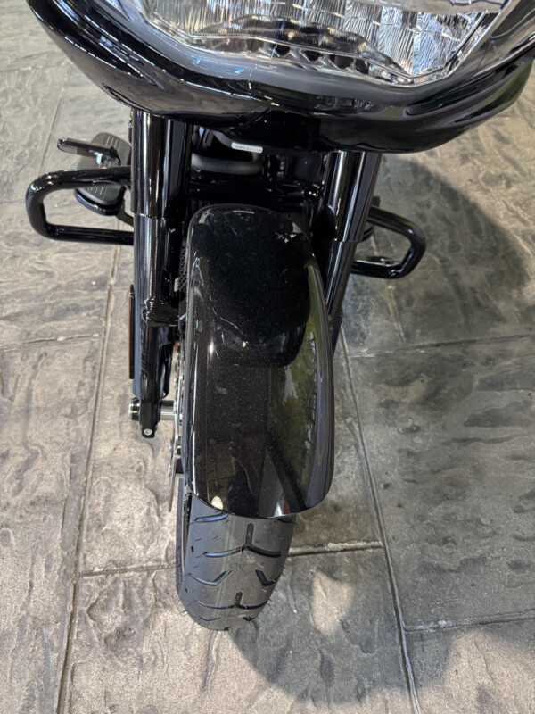 2025 Harley-Davidson Road Glide - Photo 9
