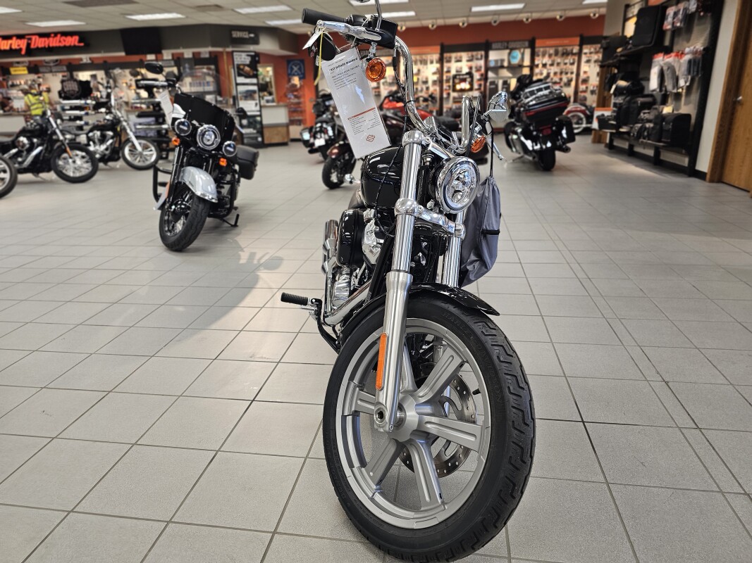 FXST 2024 Softail Standard - Photo 3