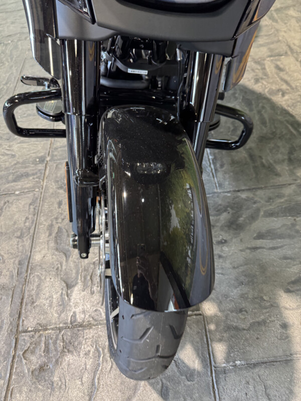 2025 Harley-Davidson Street Glide - Photo 9