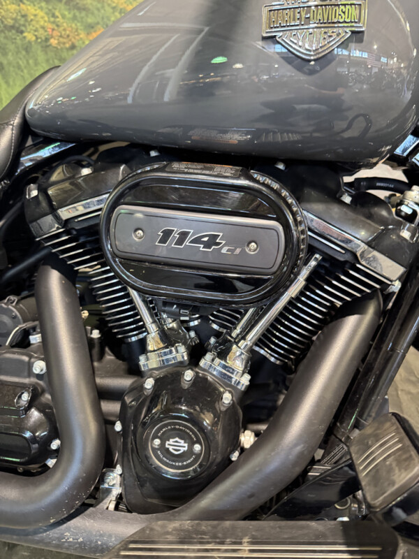 2022 Harley-Davidson® Street Glide® Special, photo 3