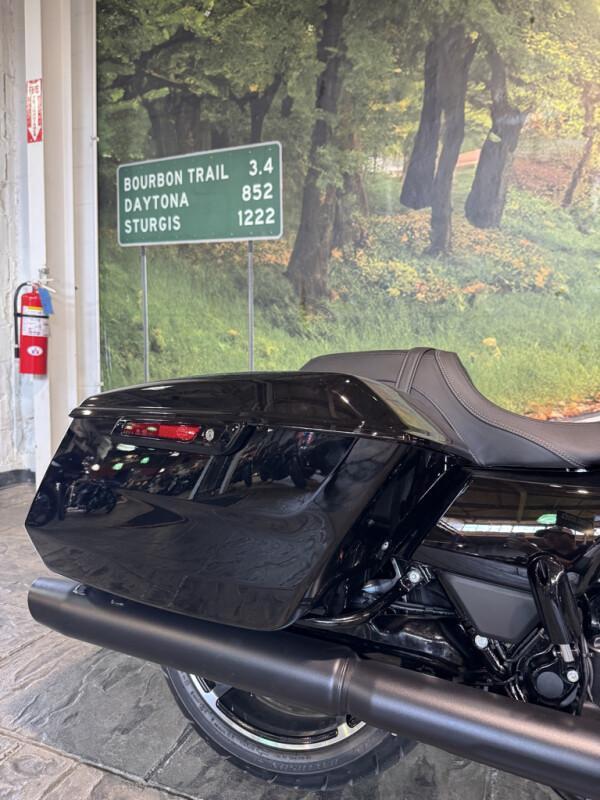 2025 Harley-Davidson Street Glide - Photo 5