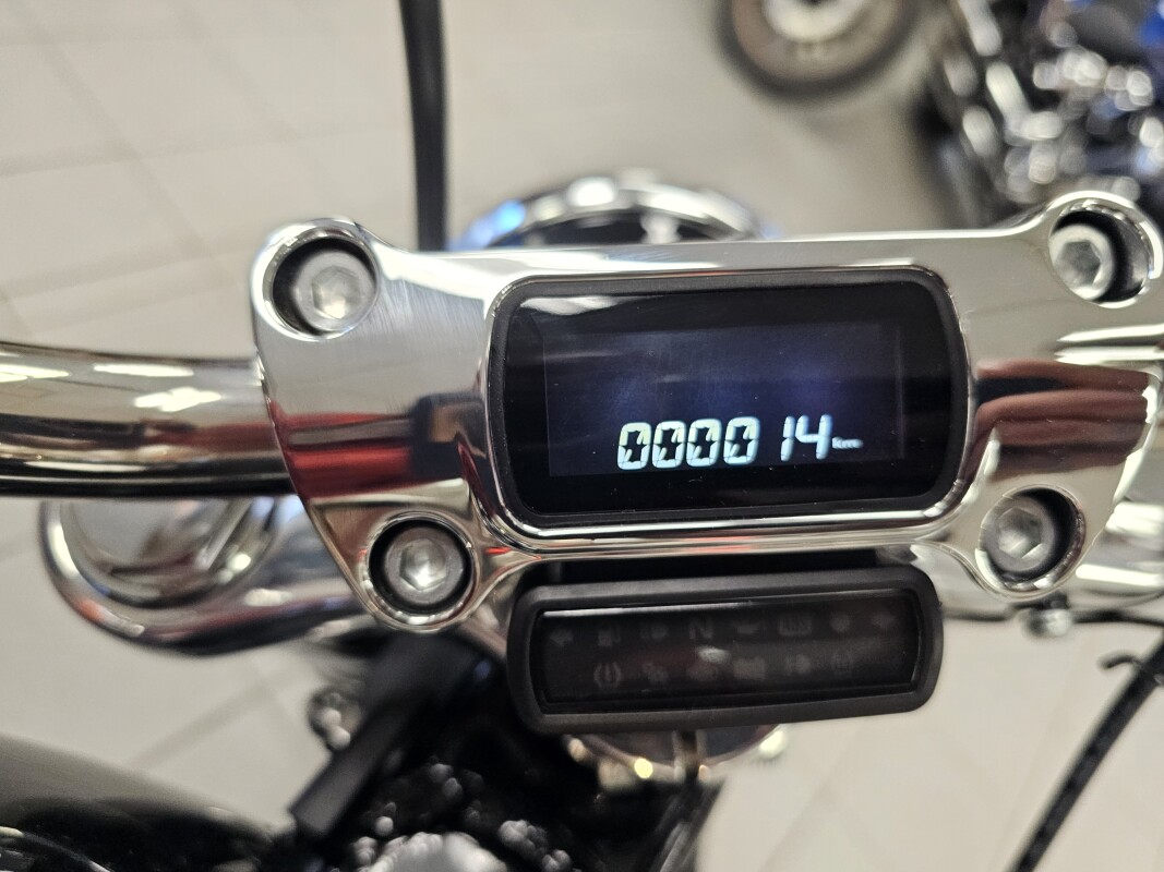 FXST 2024 Softail Standard - Photo 9