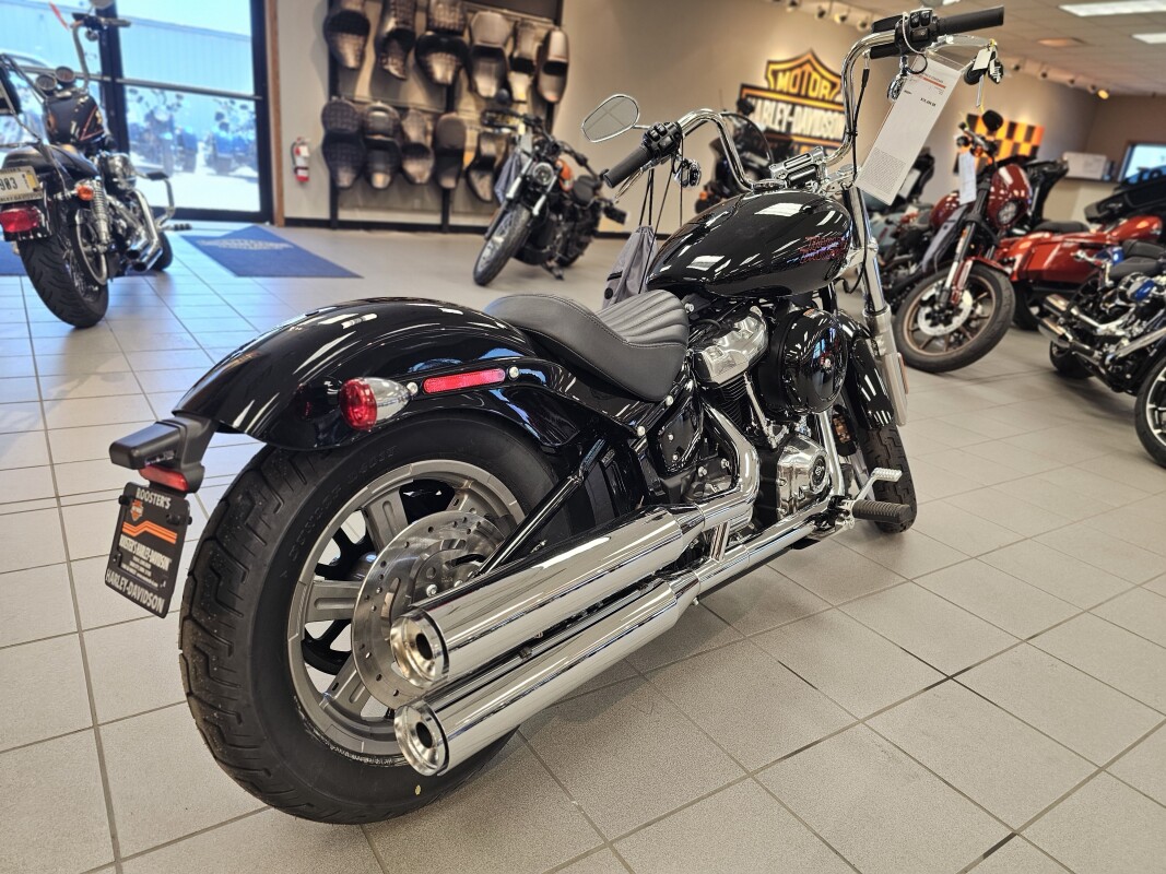 FXST 2024 Softail Standard - Photo 8