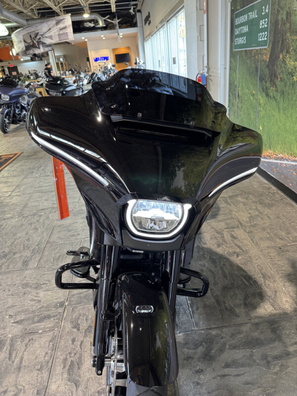2025 Harley-Davidson Street Glide - Photo 10