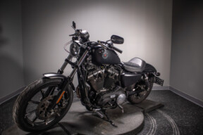 2020 Iron 883™ (XL883N) thumb 2