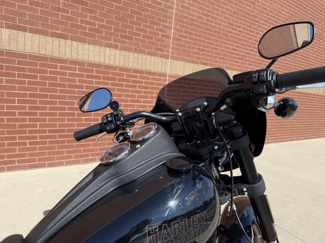 FXLRS 2021 Low Rider S - Photo 4