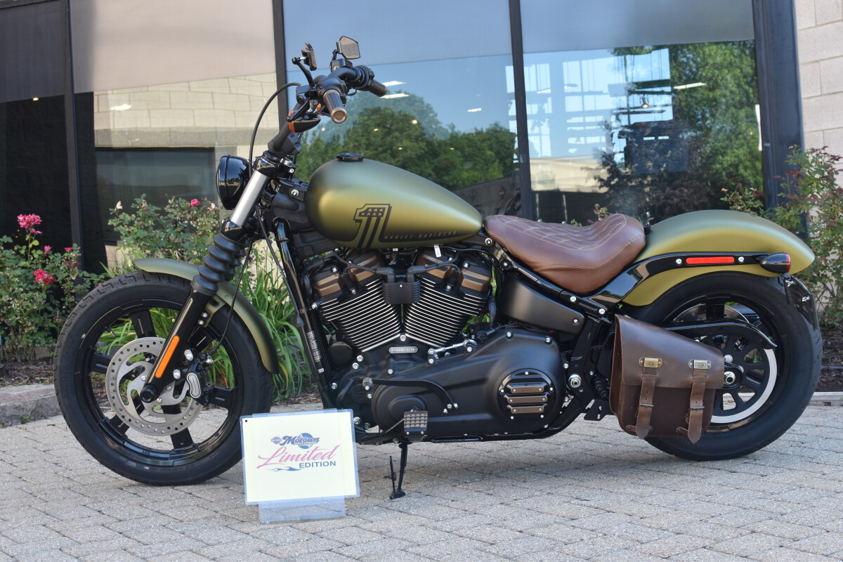 2024 Harley-Davidson Street Bob 114 FXBBS - Photo 10