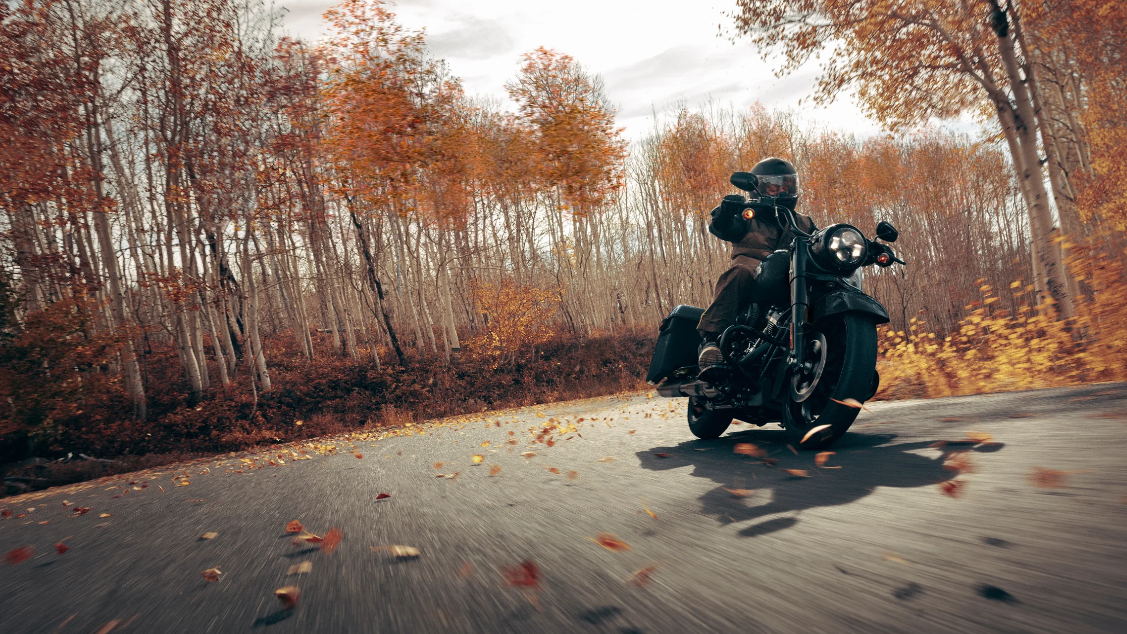 Rider leaning into a curve on a 2025 Harley-Davidson Road King Special, surrounded by autumn trees and falling leaves.