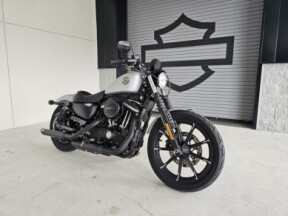 2020 Harley-Davidson<sup>®</sup> Iron 883™ thumb 2