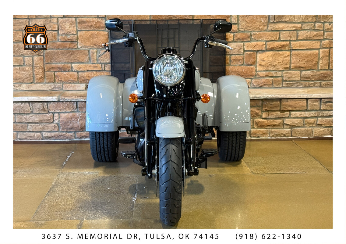 2025 Harley-Davidson Freewheeler Billiard Gray - Photo 2