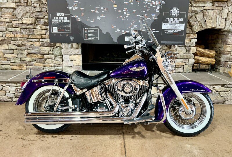 2014 FLSTN - Softail Deluxe 