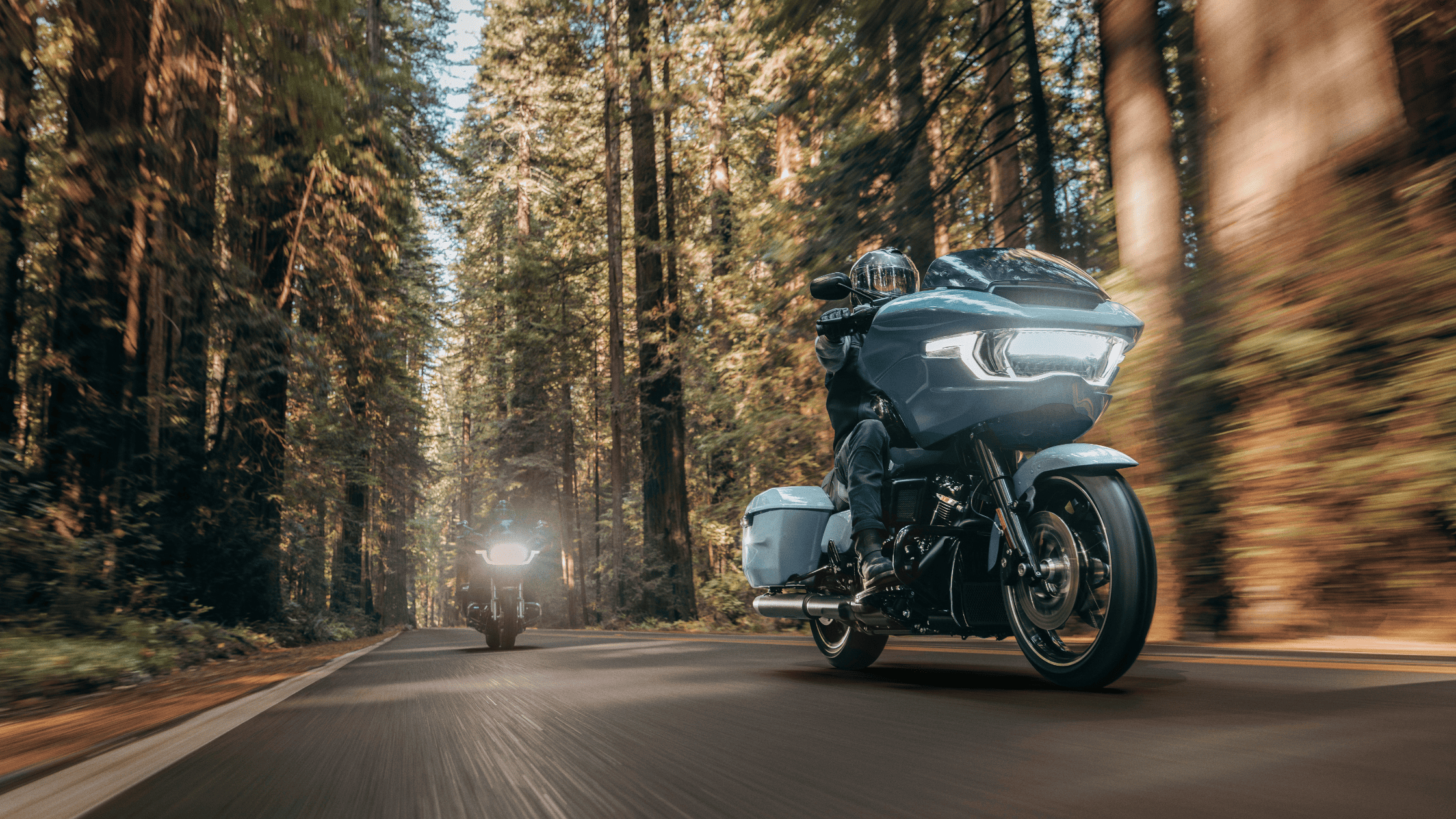 Two riders on 2025 Harley-Davidson Road Glide models riding through a dense forest road.