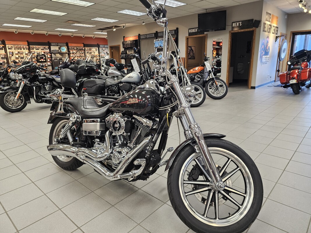 2009 FXDL - Photo 2