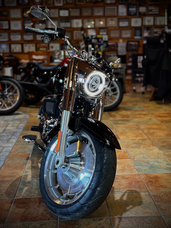 2025 Harley-Davidson Fat Boy Vivid Black - Photo 9