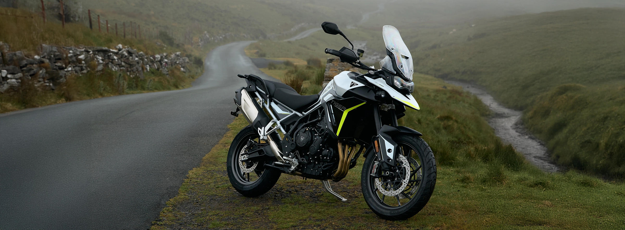 Tiger 900 GT Pro
