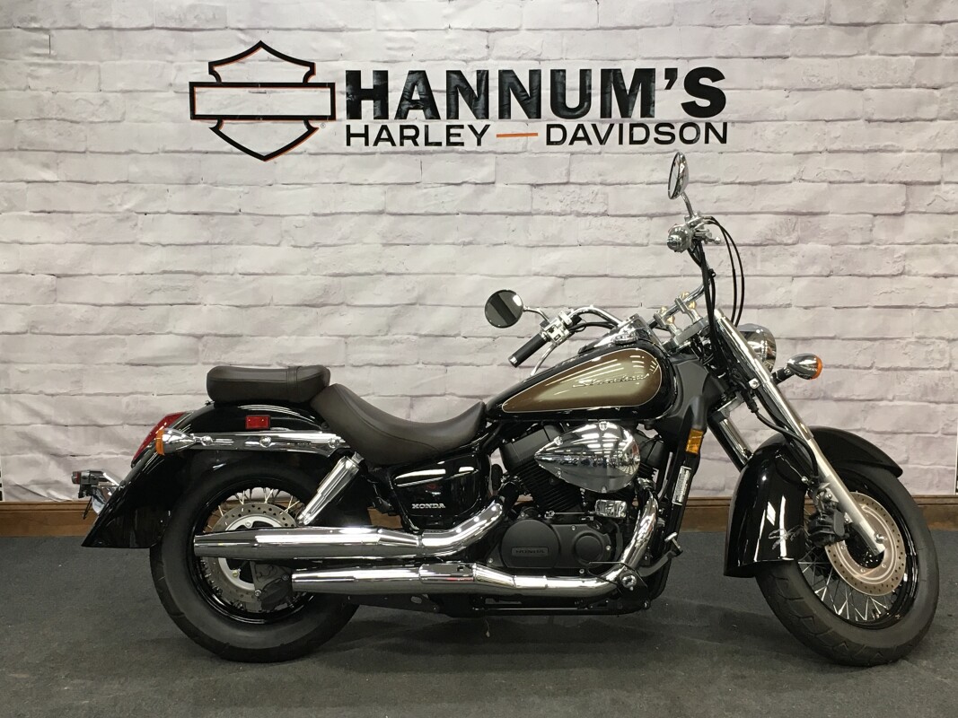 2024 Honda Vt750 (shadow Aero) C BLK/BROWN