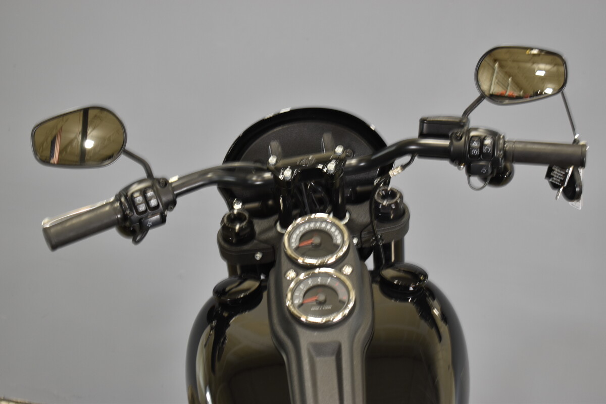 2021 Harley-Davidson Low Rider S FXLRS - Photo 8