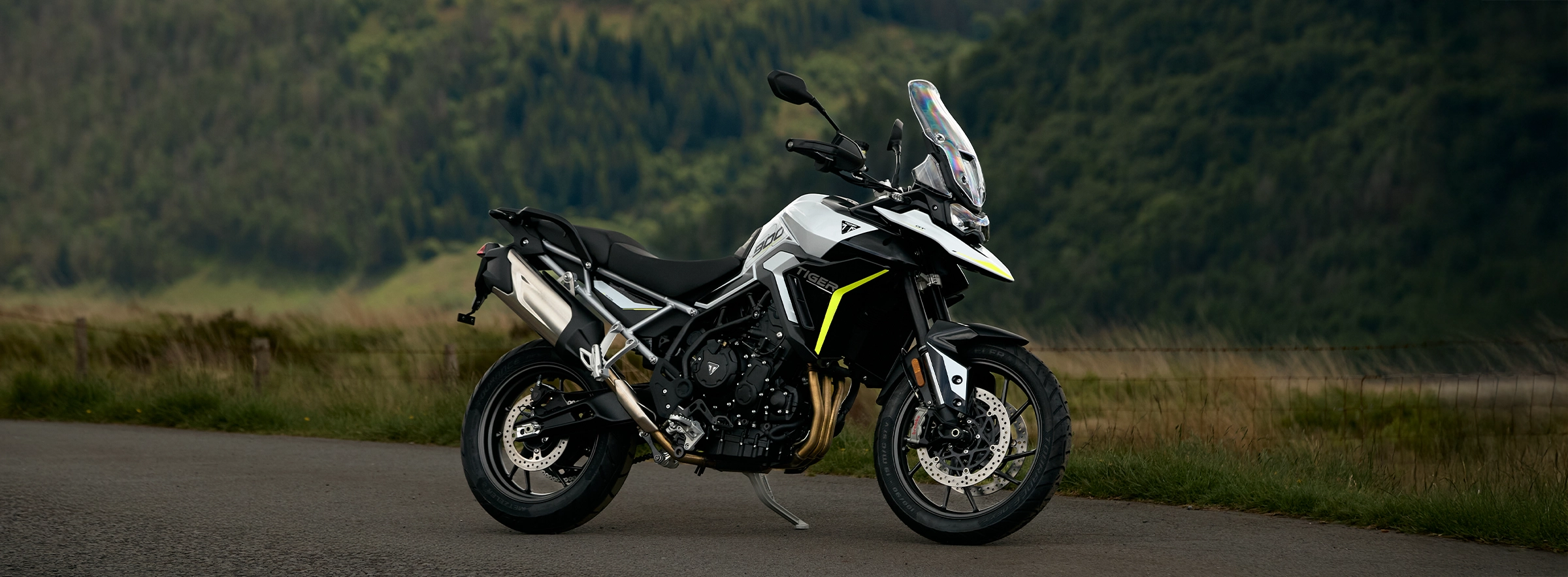 2026 Tiger 900 GT