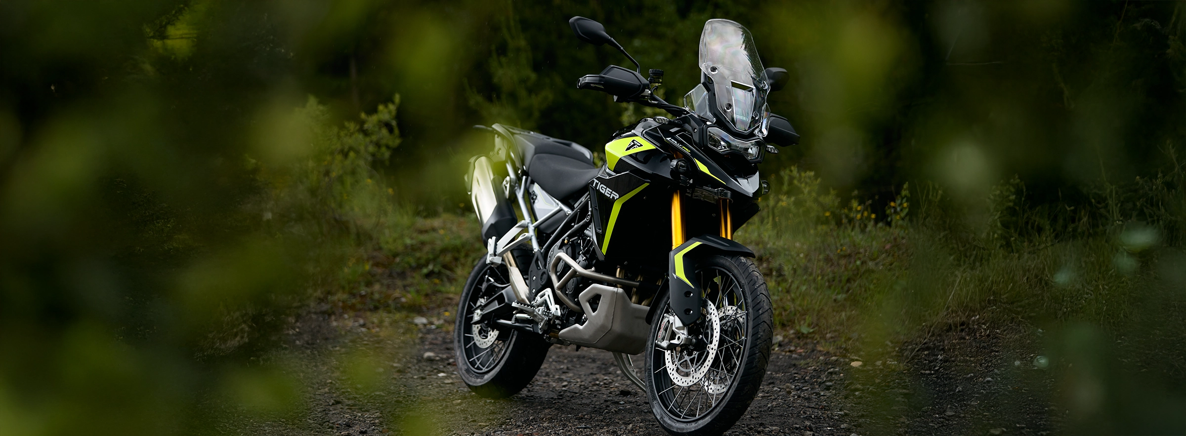 2026 Tiger 900 Rally Pro