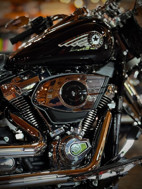 2025 Harley-Davidson Fat Boy Vivid Black - Photo 5
