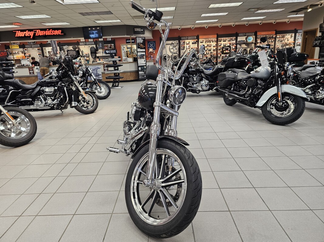 2009 FXDL - Photo 3