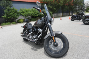 2019 Harley-Davidson Softail Slim FLSL thumb 2