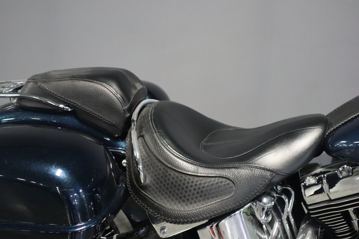 2016 Harley-Davidson Softail Deluxe FLSTN - Photo 9