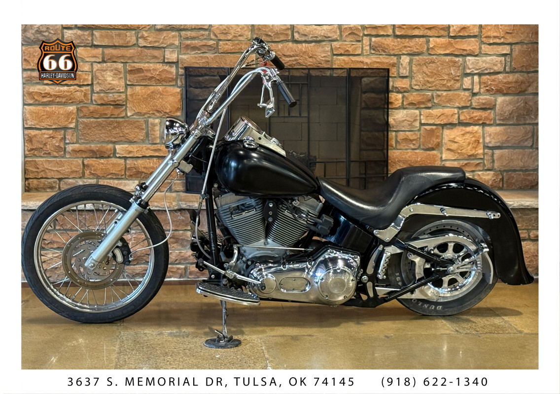 2001 Harley-Davidson Softail Standard VIVID BLACK - Photo 3