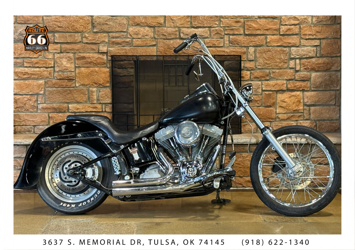 2001 Harley-Davidson Softail Standard VIVID BLACK