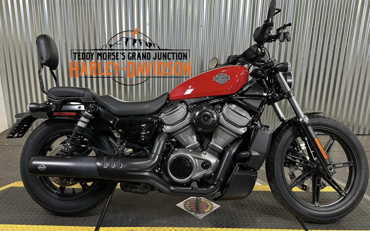 2025 Harley-Davidson® Nightster™ Special Billiard Gray | Teddy