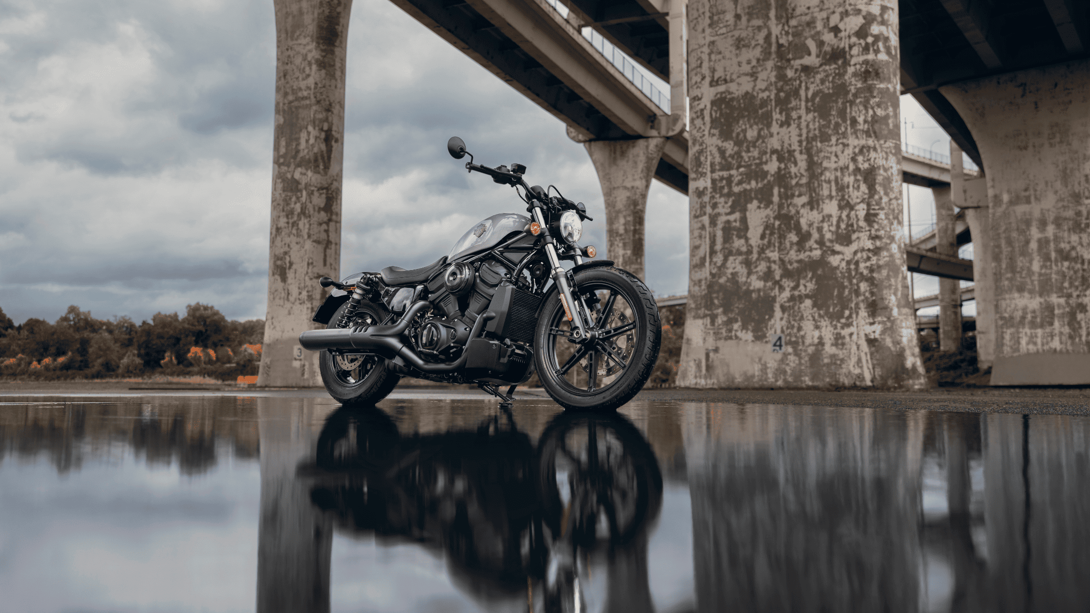 Parked 2025 Harley-Davidson Nightster reflecting on wet pavement under an overpass.