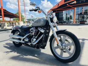 FXST 2024 Softail® Standard thumb 3