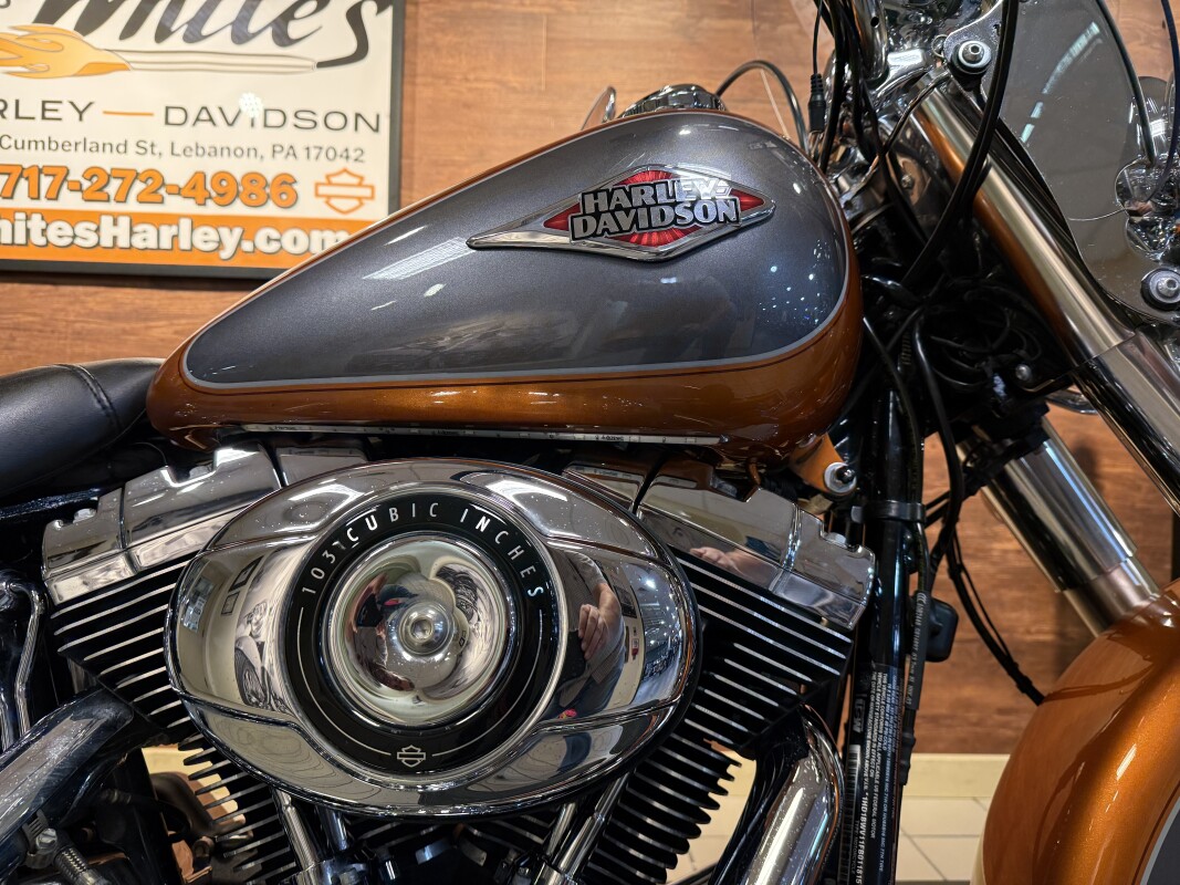 2015 H-D FLSTC Heritage Softail Classic 103ci - Photo 3