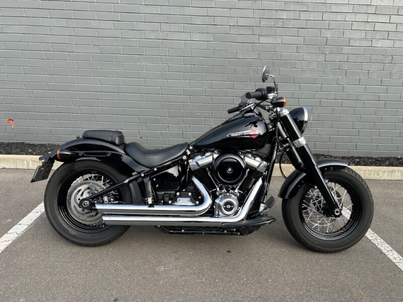 2020 FLSL Softail Slim 107ci